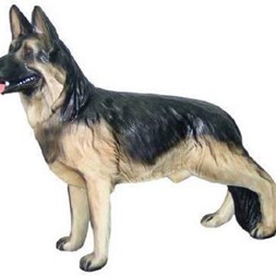 Schæferhund stående 82x102 cm