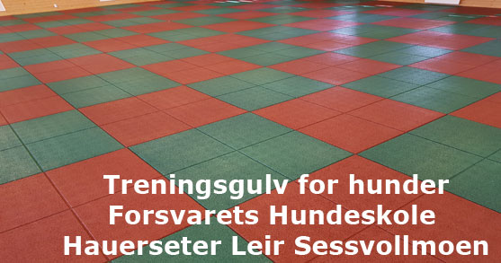 Forsvarets-Hundeskole.jpg